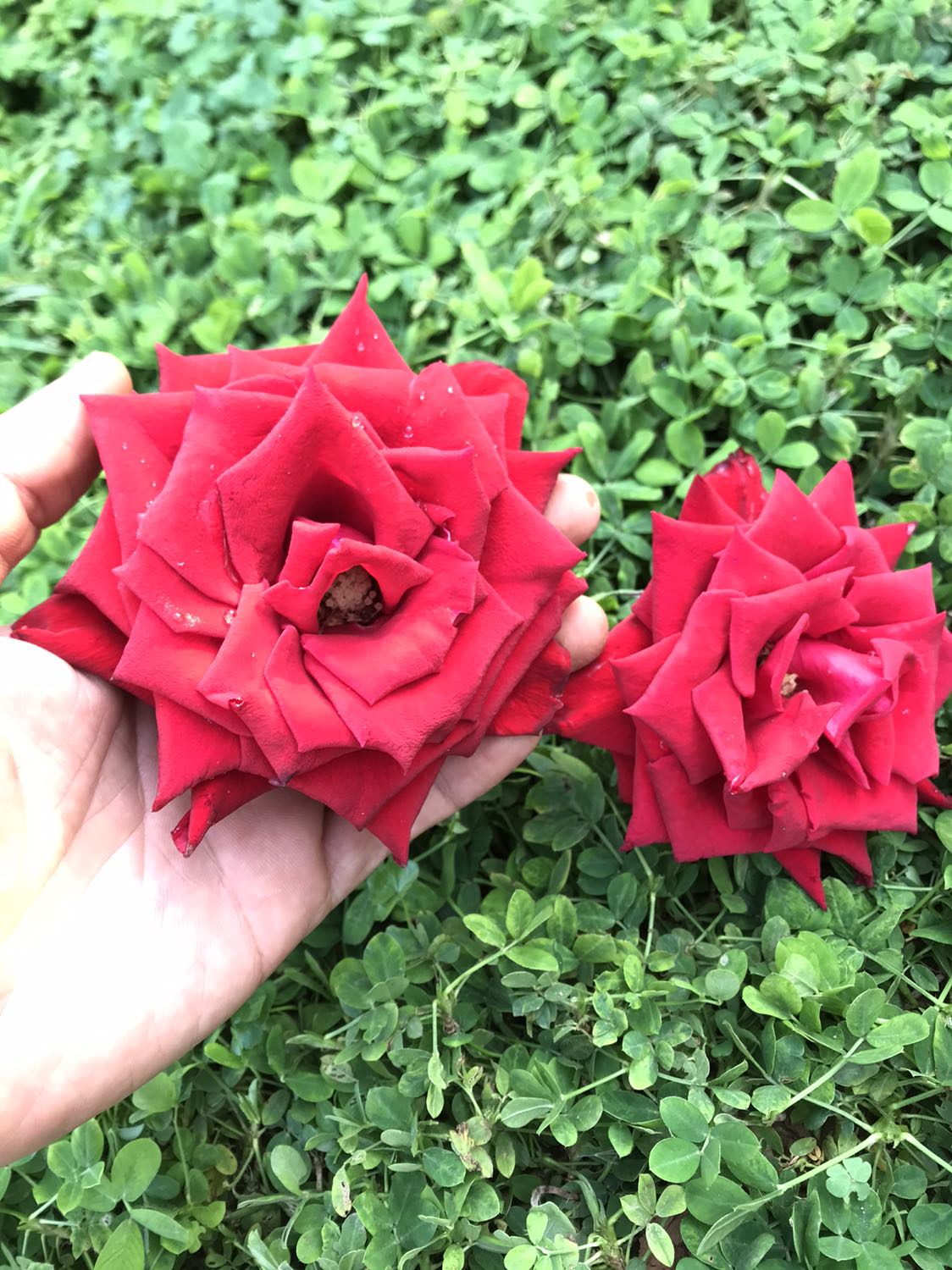 Hương vị cũng ổn lắm, xứng đáng đánh giá GOOD