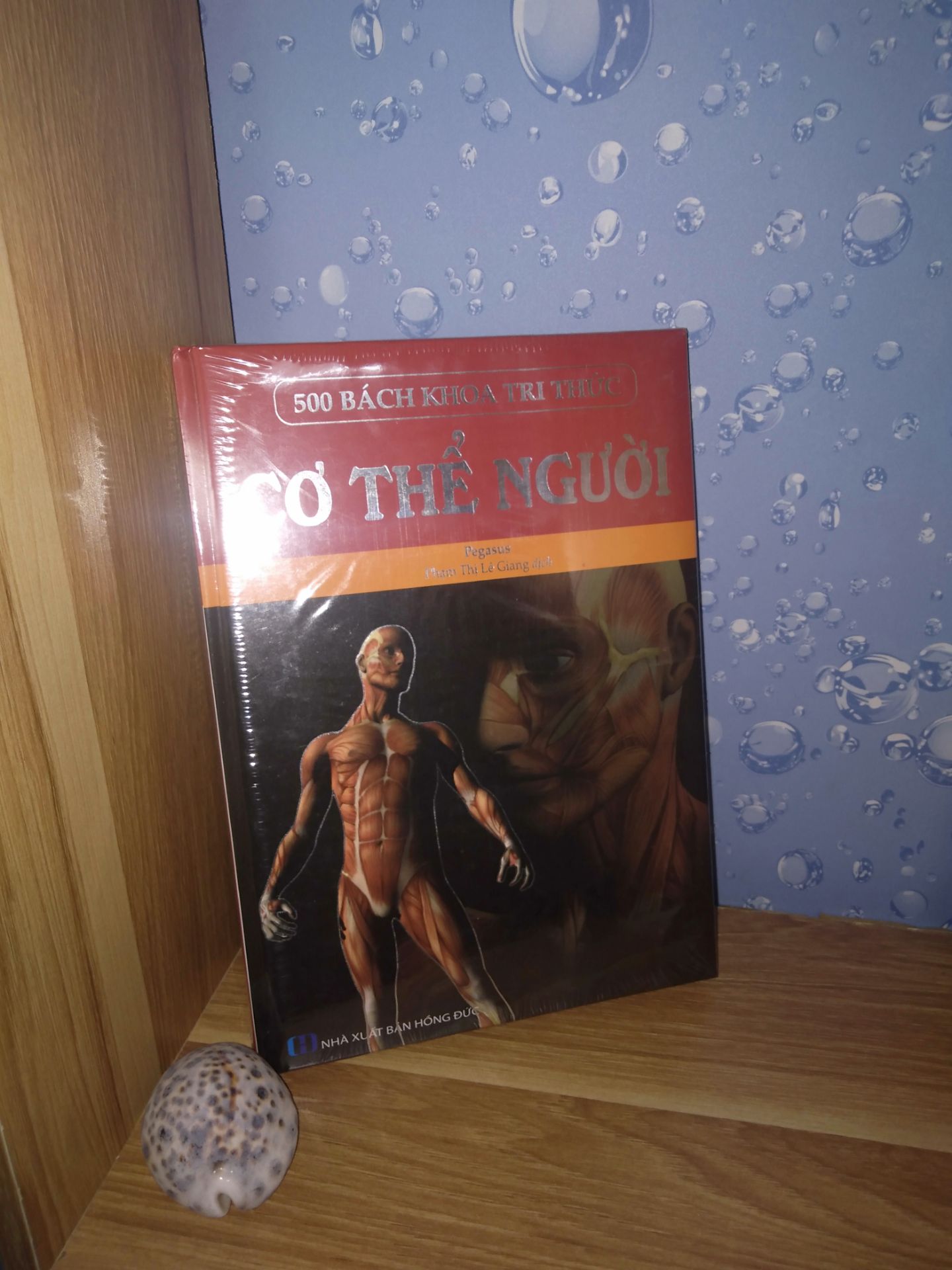 về thẩm mỹ sách được bọc đóng gói cẩn thận và không bị móp. còn nội dung thì sách còn nguyên seal nên chưa nỡ bóc. giao hàng sớm tóm chung rất ưng.