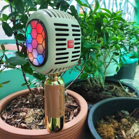 Micro thiết. kế đẹp, độ hoàn thiện tốt,, khá chắc chắn, có loa tích hợp bên trong, âm thanh hay, âm lớn, mic hút tốt, hát nhẹ. Shop tư vấn nhiệt tình, có bảo hành 12 tháng nên khá yên tâm, hậu mãi tốt. Cảm ơn shop nhiều