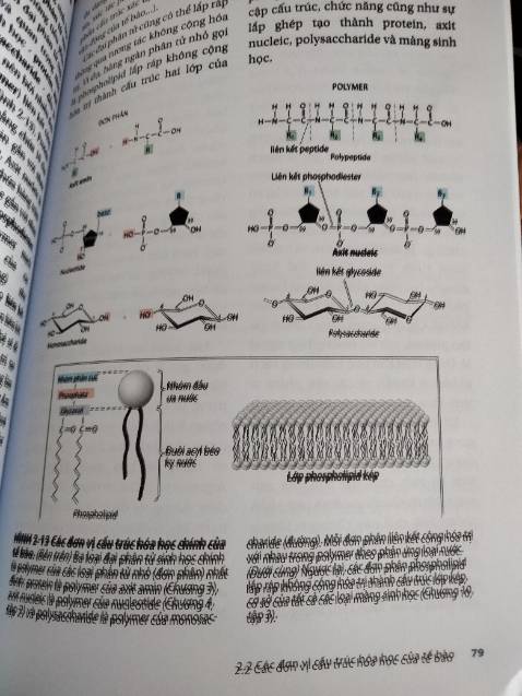Thích:
- Giá hạt dẻ
- Sách xịn có tiếng
- Giao hàng trước hạn
Không thích
- Sách bị dame nhẹ phần góc
- E chưa đọc hết sách nhưng mà có thấy 2 trang bị lỗi này...
Tóm lại : Có không hài lòng nhưng mà ít hơn phần thích ( sách gần 3 trăm trang k lẽ vì 2 trang nhỏ lẻ) nên đánh giá 4s