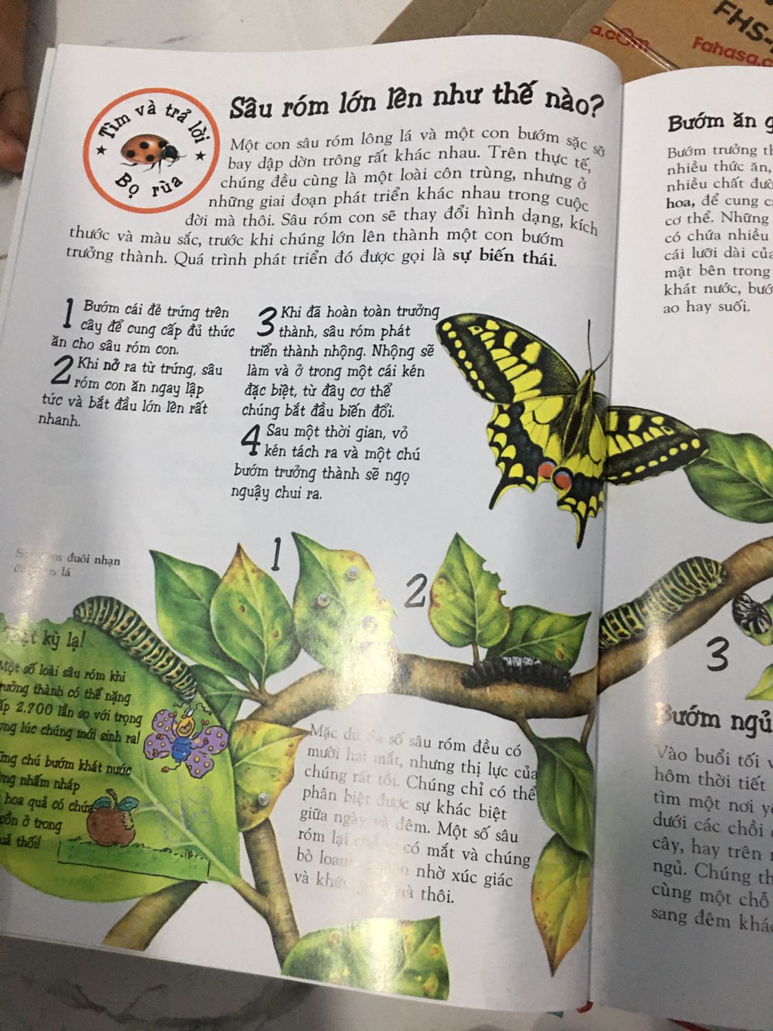 Sách đẹp, nội dung hay. 
Các bé rất thích