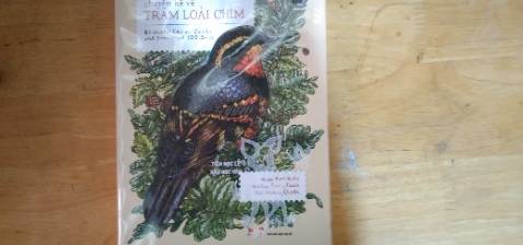 Quyển sách rất đẹp và bổ ích. Tiki giao hàng thì siêu nhanh mà anh giao hàng còn thân thiện nữa. Cảm ơn Tiki và Huy Hoàng nhiều nhaa. Tóm lại là rất thích nhaaa