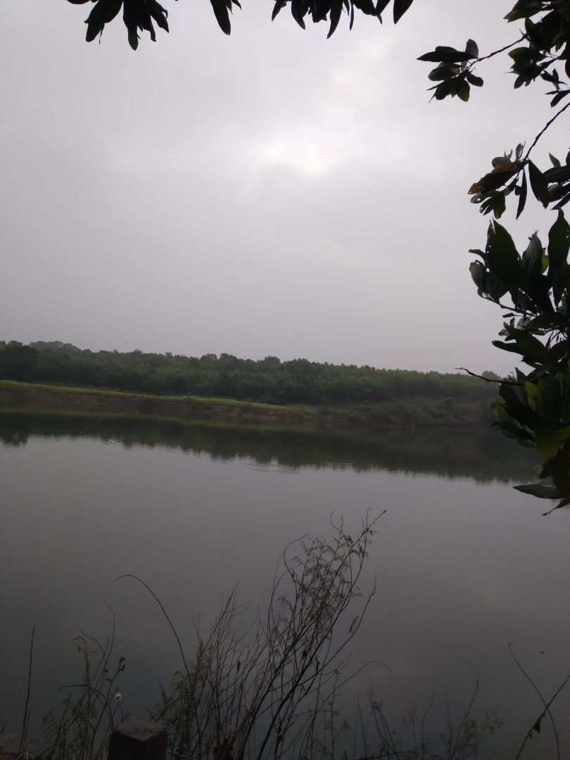 máy thì ok nhưng k biết lấy khoảng cách đến máy thì tính đến mắt laze hay đến phần nhựa hay tính đến đâu, nếu có cử trên thân máy hay ntn đấy sẽ tiện hơn