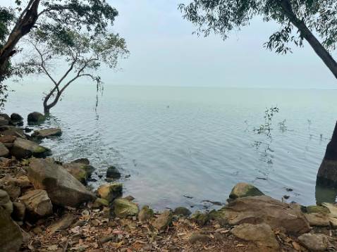 Mua hộ kh biết nhưng kh bên đâu cũng chưa dùng chưa biết với mua kh phải mình dùng nên không biết sao nhe