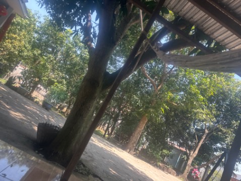 Gdhjdjdjbdvb chụ hhshh hzjjd