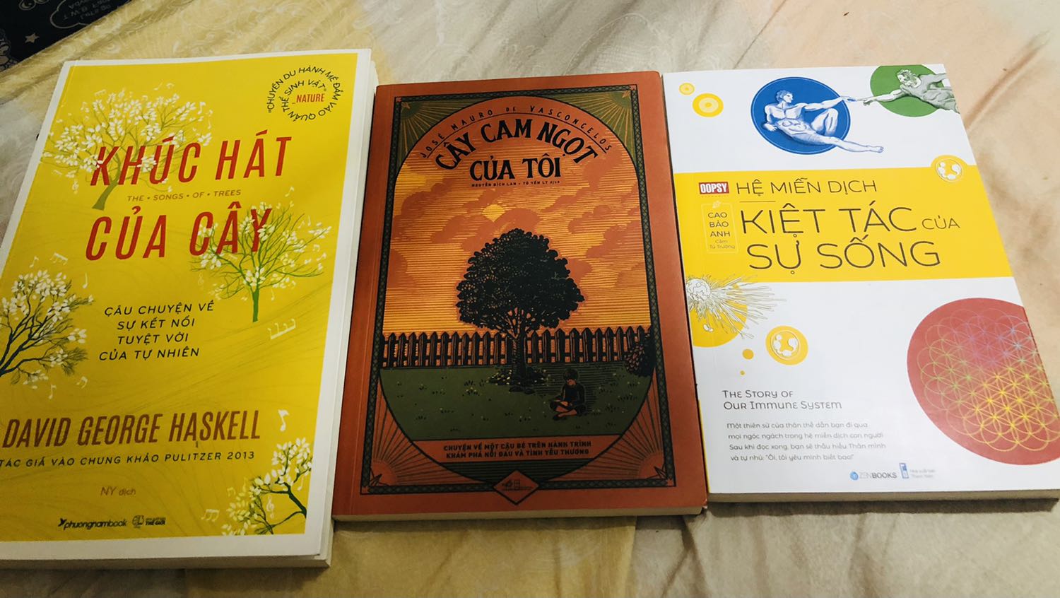 Giao sách nhanh và sạch đẹp