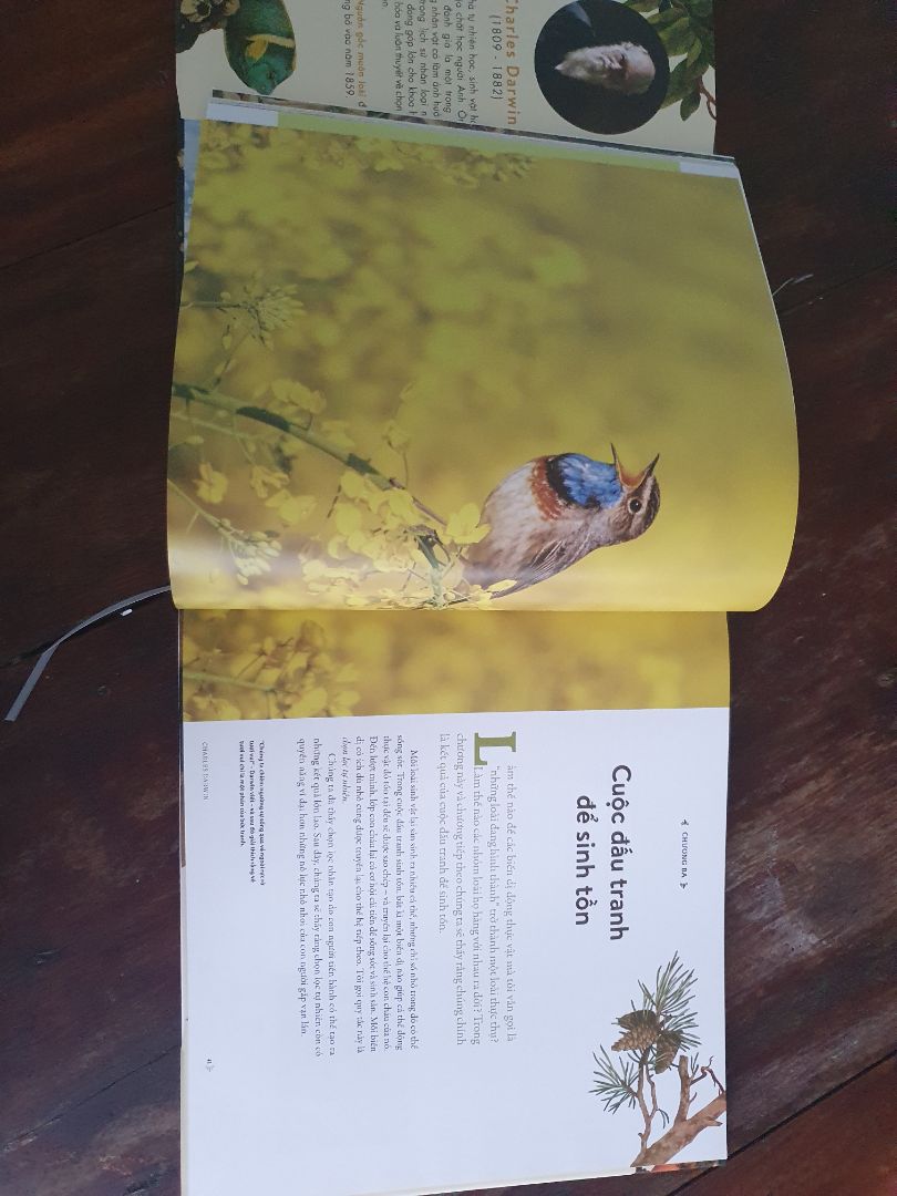 Sách đẹp mê li, giao hàng nhanh, sách bìa cứng nhé mọi người!