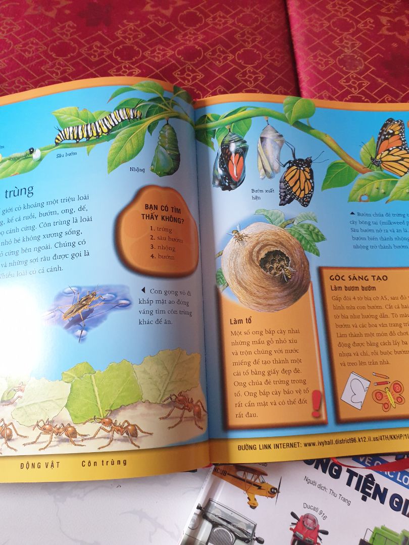 sách rất đẹp. nội dung phong phú. thích hợp với bé 5t trở lên. đc giảm 50% giá nên cực kì hài lòng