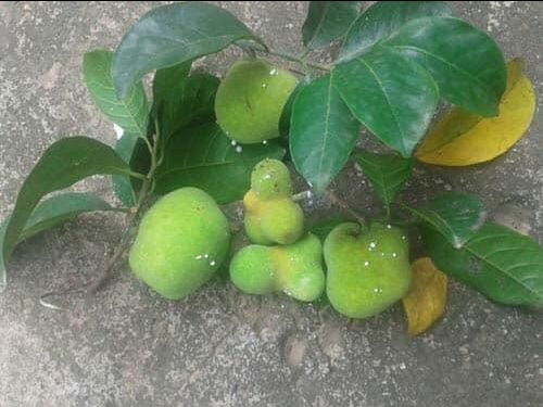 sản phẩm tốt, giao hàng nhanh, shiper thân thiện, lúc nào cũng tin tưởng tiki. nên mua nhé mn