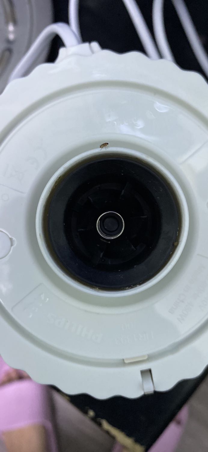 Máy xay thịt vệ sinh rất cực, thậm chí không thể vệ sinh. Thịt dín vào bên trong máy làm dơ hết máy. Gọi điện cho bên hãng thì bảo đem lên hãng vệ sinh. Chả lẽ mỗi lần xay xong thì mang lên cho vs hay sao ??? Mua máy nhiêu đó dung tích mà về chỉ cho xay 1 ít vì sợ xay nhiều hơn nó dín máy không vs được. Ủa ????? Khuyên mng nên cân nhắc khi mua nhé !!! Không vs được là dòi với ruồi nhặng nó bu khắp nơi đó.. cực kì gớm 😤