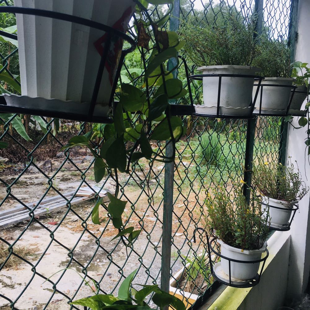 Ship cao quá ạ! Ship hơn 50k, chọn thử 2 set mà ship gần 100k, có cách nào giảm phí ship lại k ạ