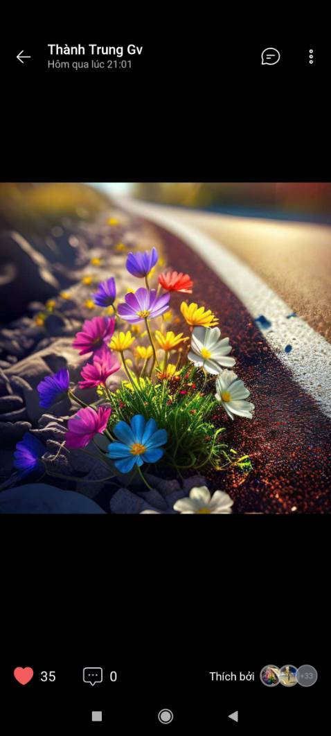 Xe êm, tiết kiệm xăng, giá cả hợp lý, dịch vụ nhiệt tình. Hình ảnh không liên quan, chỉ để cho đẹp