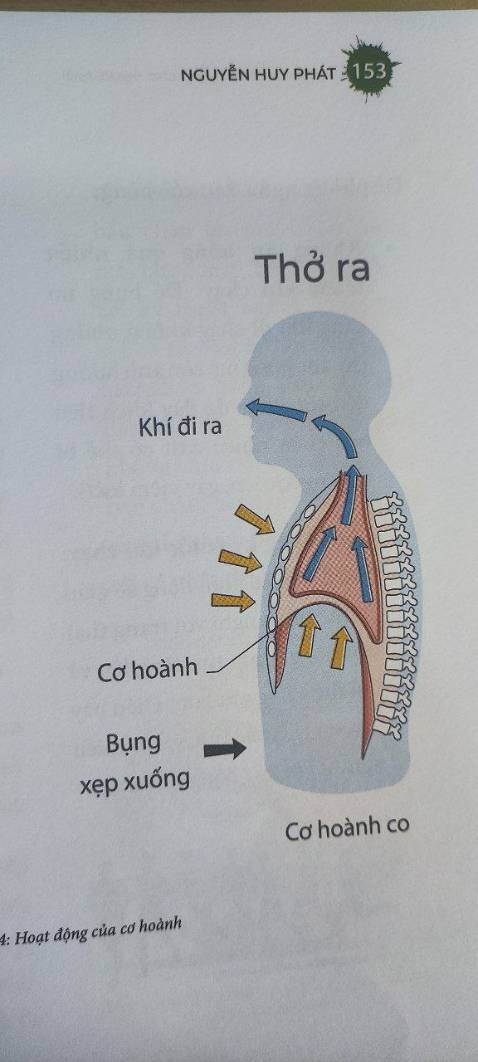 Sách chia sẻ những kỹ thuật đơn giản và hiệu quả cho người bắt đầu tập chạy bộ. Cách viết dễ hiểu và hài hước.