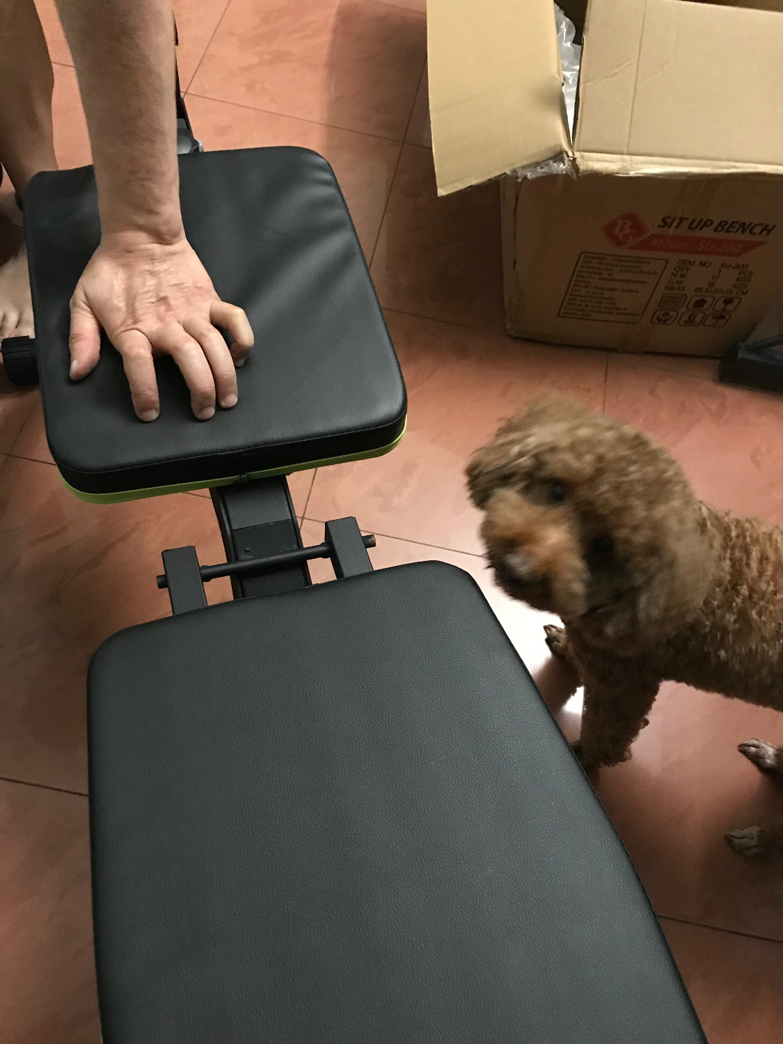 HÀNG ĐƯỢC BỌC RẤT KỸ CÀNG, NHÂN VIÊN GIAO HÀNG CỦA TIKI RẤT CHU ĐÁO.
SẢN PHẨM TỐT HƠN SO VỚI HÀNG CÙNG CHỦNG LOẠI BÁN Ở CÁC CỬA HÀNG BÁN ĐỒ THỂ THAO MÀ TÔI ĐÃ XEM TRƯỚC KHI ĐẶT HÀNG QUA TIKI