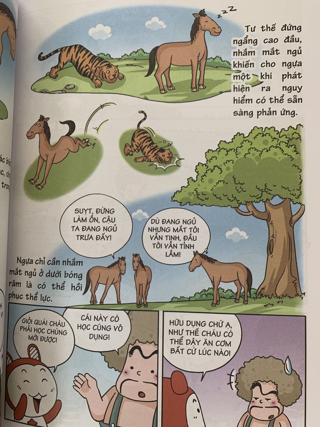 Những câu hỏi được giải đáp sinh động bằng những câu chuyến ngắn dí dỏm làm bé đọc và nhớ lâu hơn. Có những câu hỏi mà người lớn còn chưa biết nè!