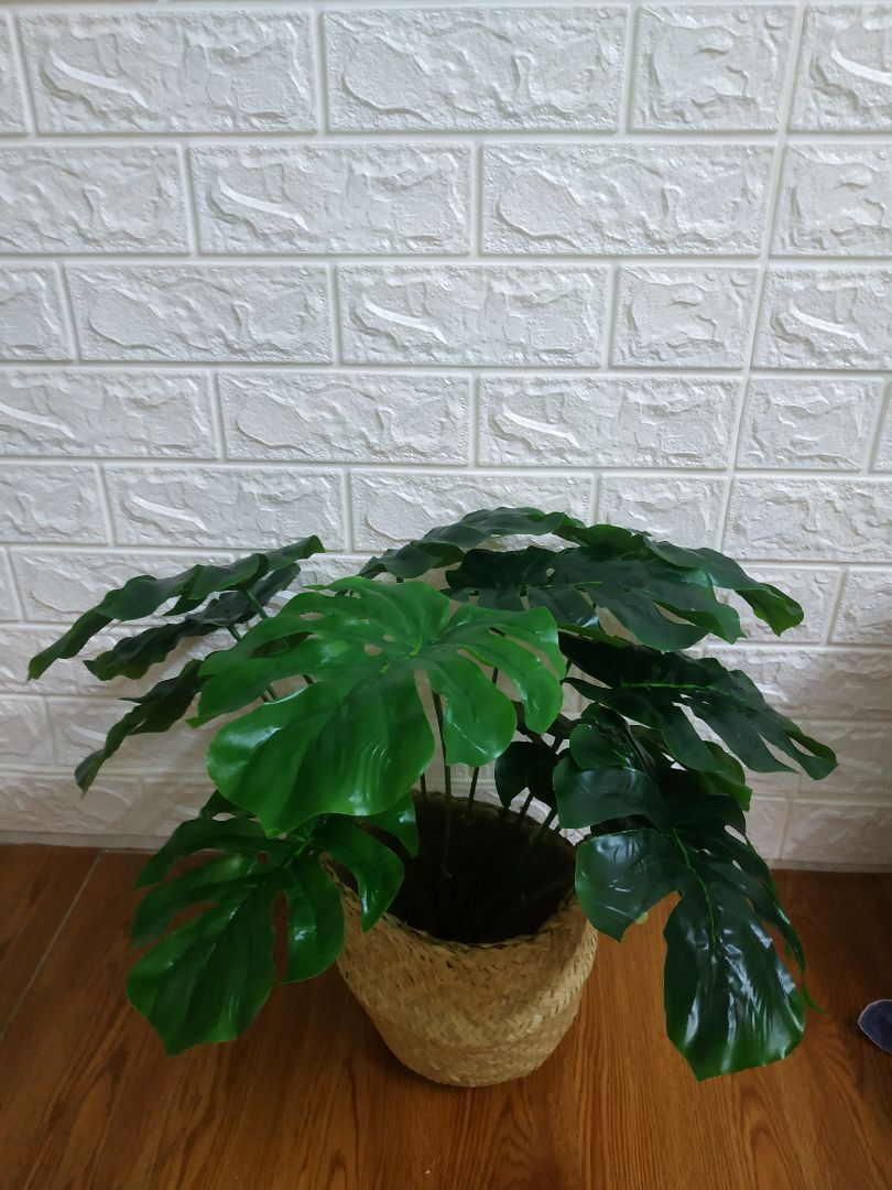 nhỏ nhắn xinh xắn như hình nha