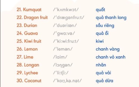 ..................…… hình ảnh chỉ mang tính chất minh hoạ