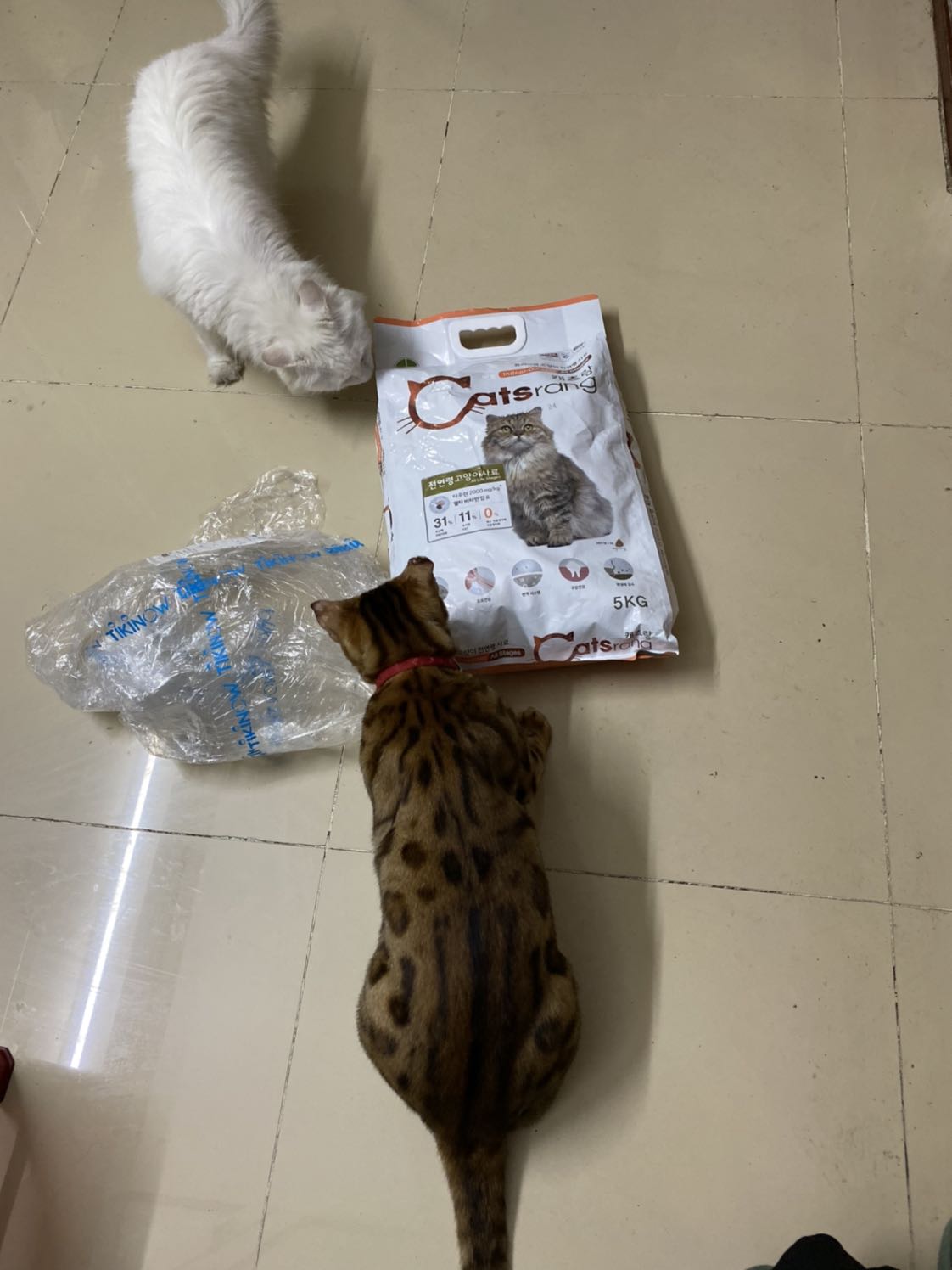 Mèo ? nhà thường ăn Royal Canin nhưng giá mắc quá nên bây giờ đổi sang Catsrang , tụi nó vẫn ăn. Shop bán giá rất rẻ, có mã giảm giá nên bịch 5 kg chỉ còn 306k. Bao đựng có những lỗ chấm thủng nhỏ nên trút sang đựng trong thùng nhựa cho tiện bảo quản . Mèo ? nhà thường ăn Royal Canin nhưng giá mắc quá nên bây giờ đổi sang Catsrang , tụi nó vẫn ăn. Shop bán giá rất rẻ, có mã giảm giá nên bịch 5 kg chỉ còn 306k. Bao đựng có những lỗ chấm thủng nhỏ nên trút sang đựng trong thùng nhựa cho tiện bảo quản .