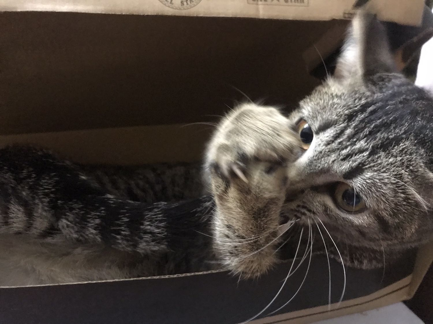 shop gia rất nhanh, hàng đóng gói cẩn thận cực kì, lần sau mua tiếp êhhehehehehd