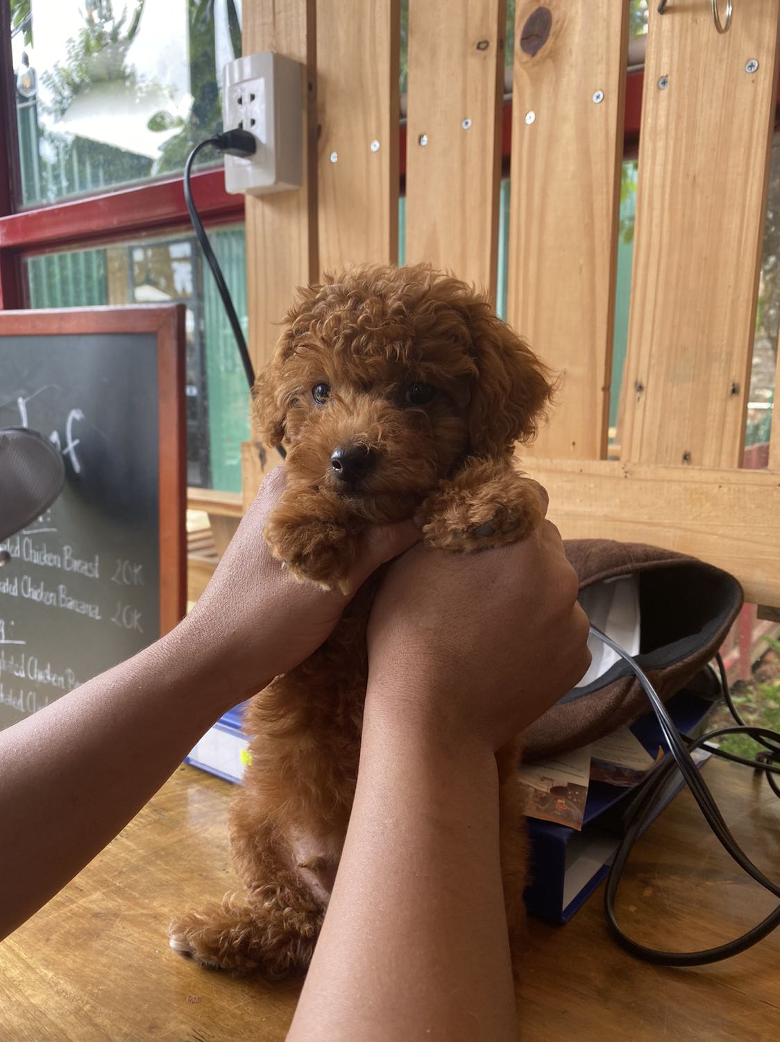 Hohihihihohohohi hàng ok nha