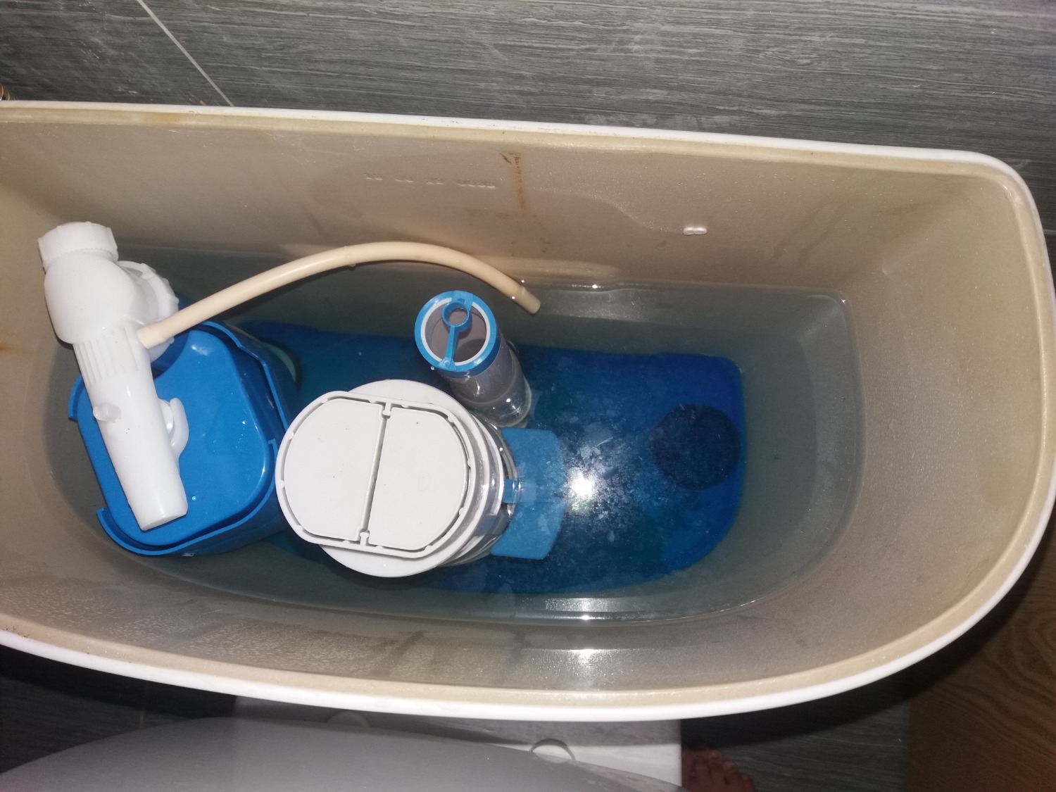 đã dùng thử, mặc dù gần như k thấy mùi thơm nhưng cảm giác sạch hẳn, nhìn cũng lịch sự hơn. Giải pháp rất thông mình, đỡ phải cọ toilet thường xuyên :)