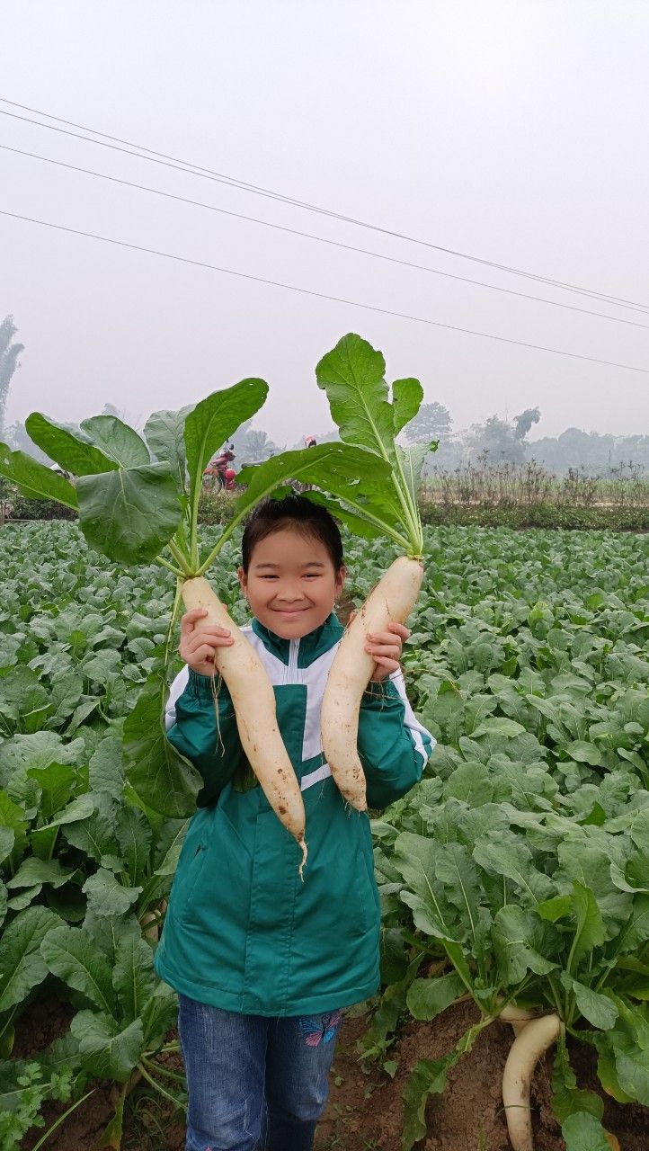 áo không bị thấm mưa dùng ok hình ảnh quên ko chụp ảnh chỉ mang tính chất nhận xu