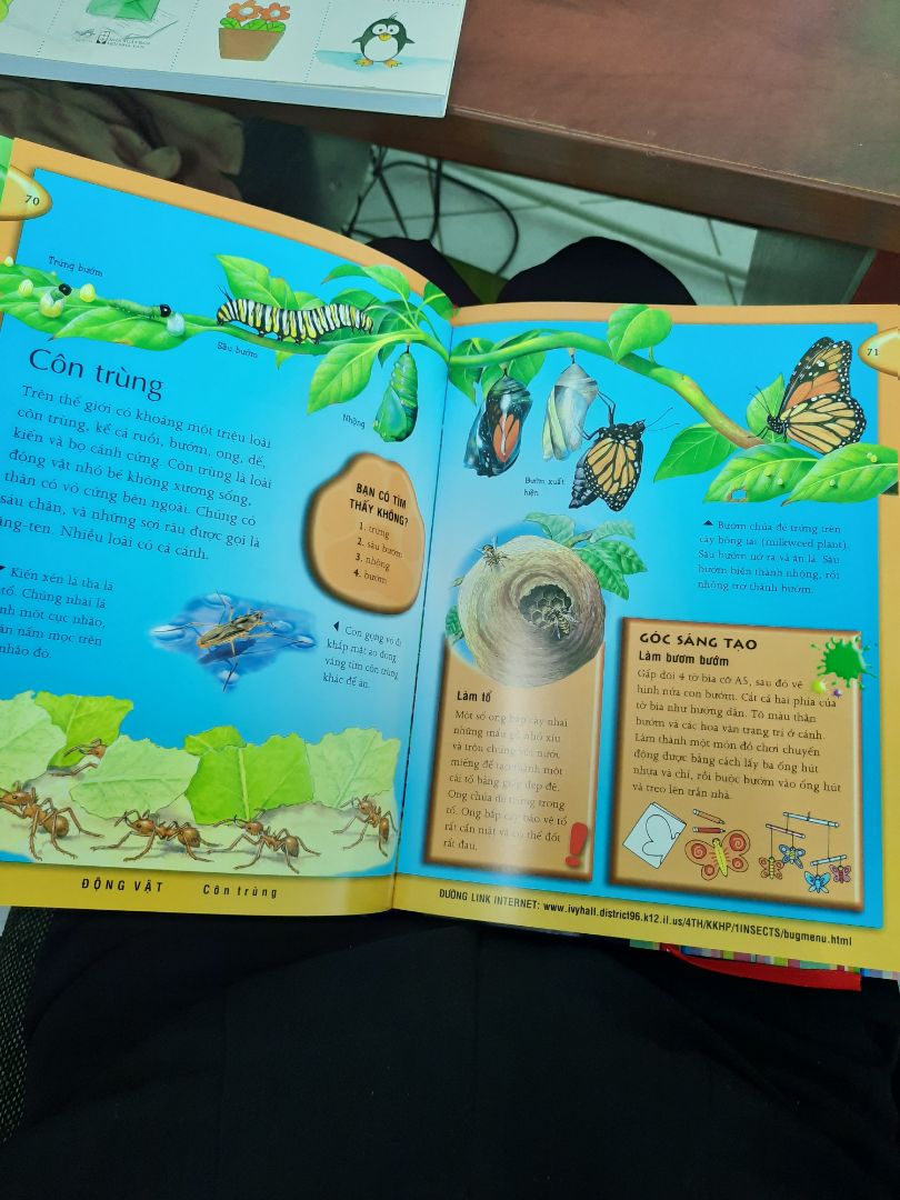 Kiến thức rất rộng lớn và đa dạng. Cả người lớn như mình còn không biết. Mua quyển sách này cho cả nhà cùng đọc để bổ sung từ những kiến thức cơ bản trog nhiều lĩn vực, su đó giải thích cho con nghe.