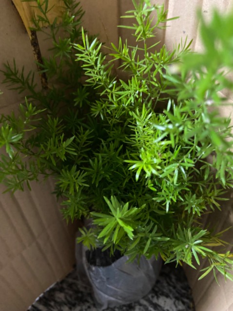 Giao sai sản phẩm,nhà cung cấp có đọc đơn hàng ko mà giao nhầm lân tệ hại.
Ko lẽ tôi bắt đền!
Bà con cảnh giác với nhà cung cấp này Phương uyên