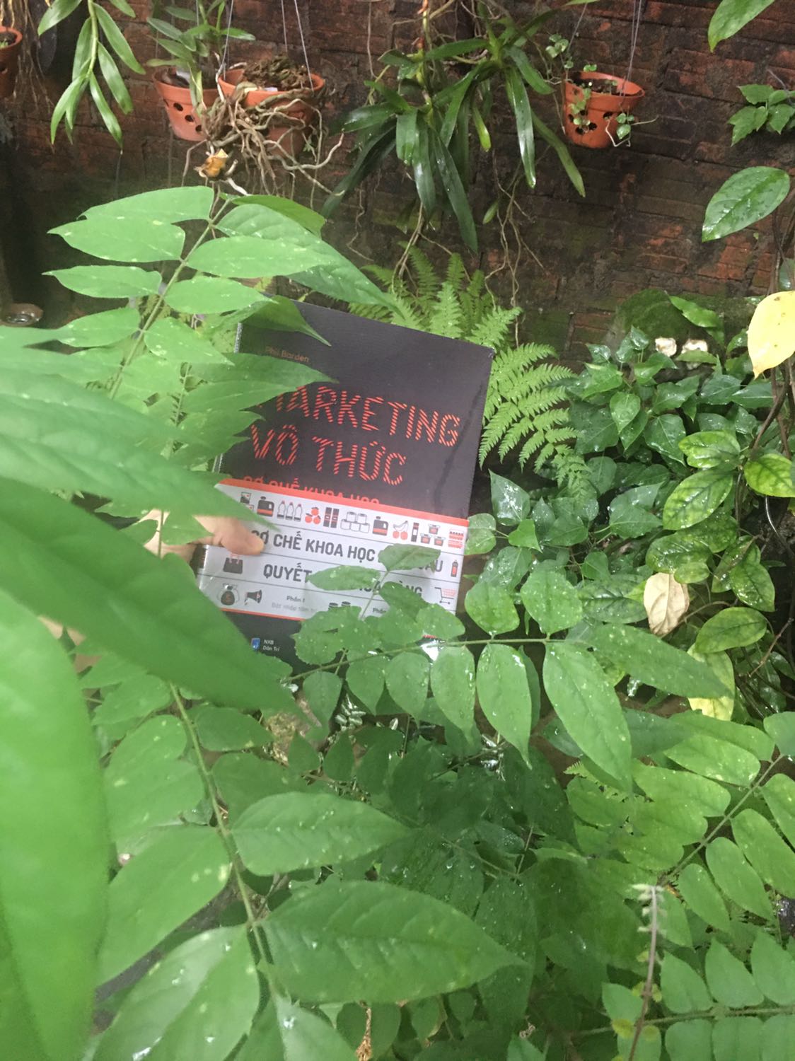 Nhận được bộ sách thấy giá trị vô cùng, giấy dày chắc chắn, in màu đẹp rõ ràng. Giao hàng cực kỳ nhanh. Nội dung chưa đọc nhưng lướt qua có vẻ hấp dẫn. Thank you!