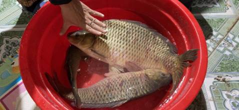 Giao hàng nhanh chất lượng chưa dùng nên chưa biết. Đóng gói sản phẩm chắc chắn. Giá thành rẻ hơn nhà khác nên đc nhiều ng mua