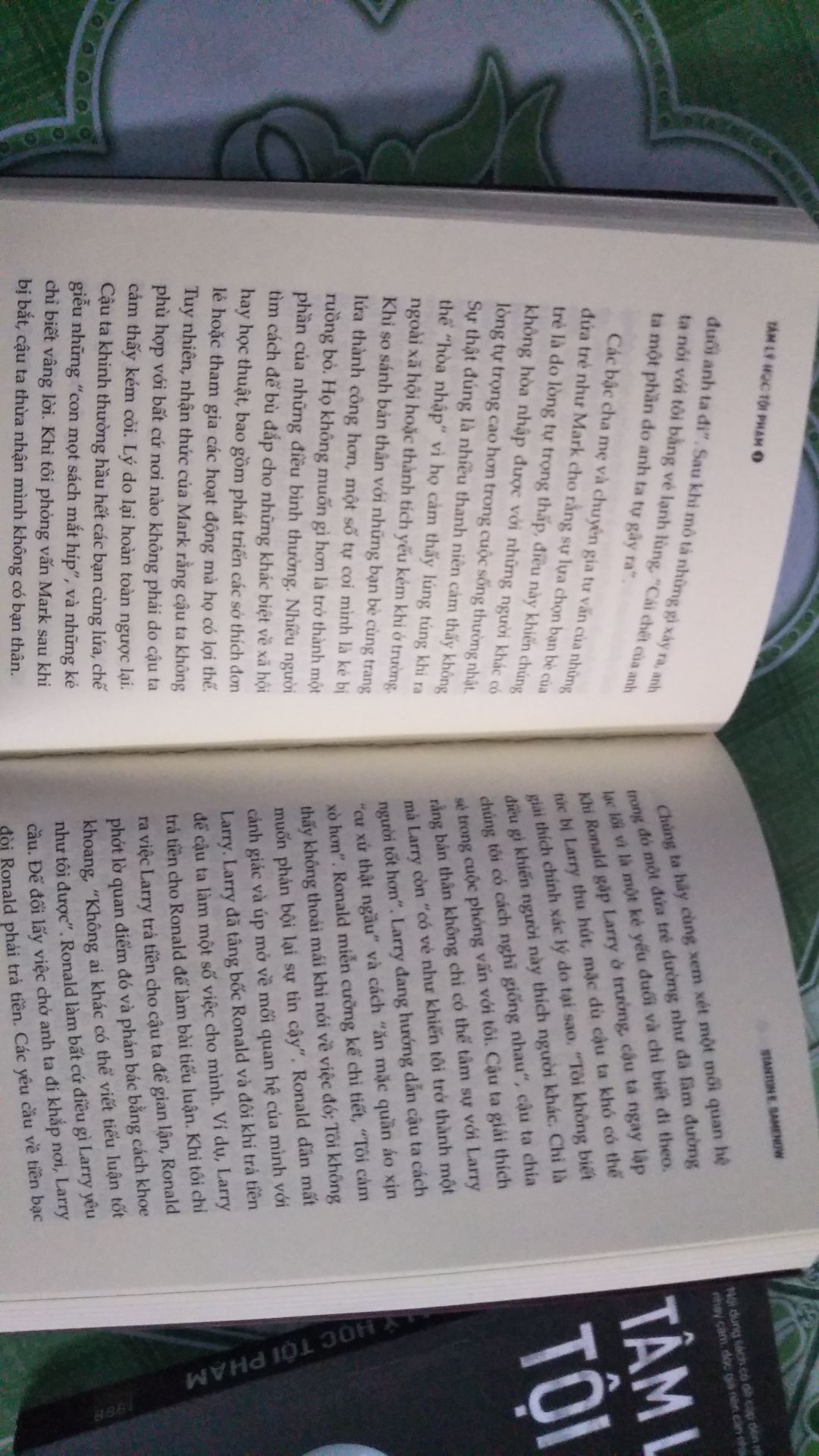 hàng giống mô tả