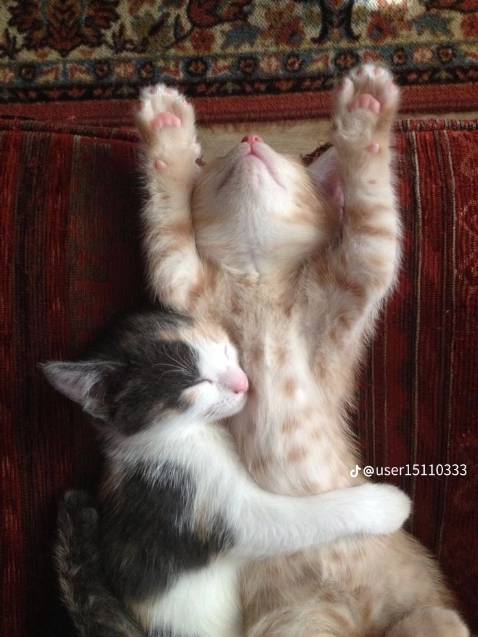 Sách mình đặt cho bố, bố mình thấy khá ưng cuốn sách và khen là bọc kĩ bìa đẹp và sạch