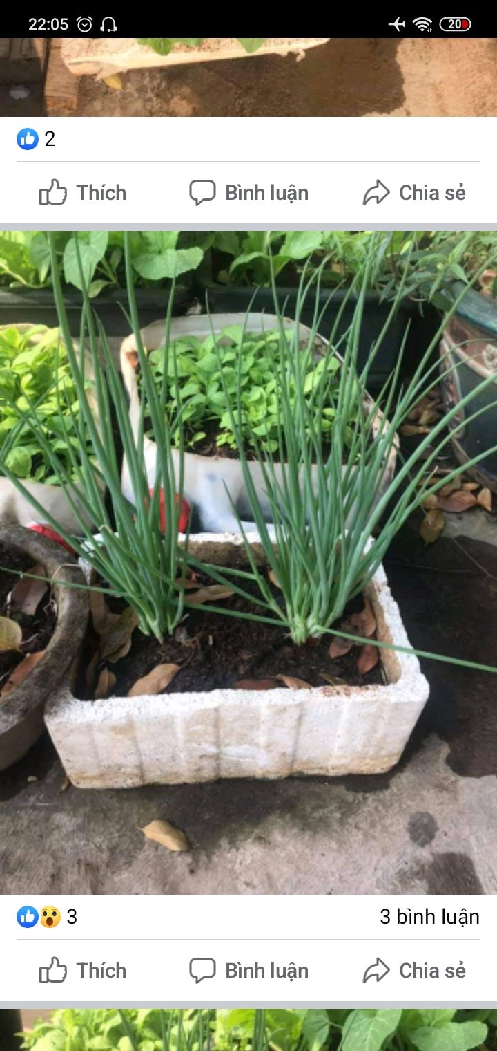 sach hay nội dung thú vị đơn giản súc tích ngắn gọn dễ hiểu rõ ràng Tiki giao hàng thân thiện nhiệt tình . . . truyện tranh đẹp. . . nói chung ok