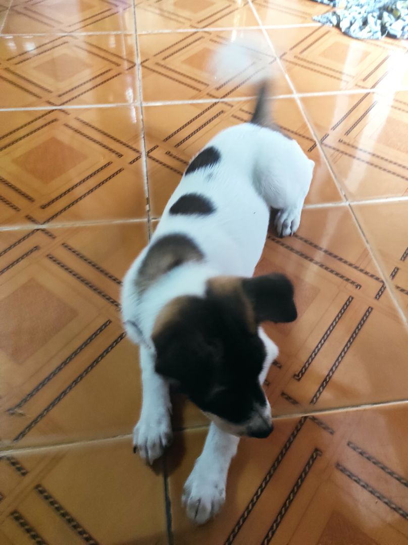 đã nhận được hàng,shops gói hàng cẩn thận đầy đủ, giao sớm hơn dự kiến good