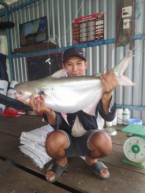 hình ảnh chỉ mang tính chất minh hoạ dlllnddkdoobkvkfkfkdkdkd cần đẹp như hình