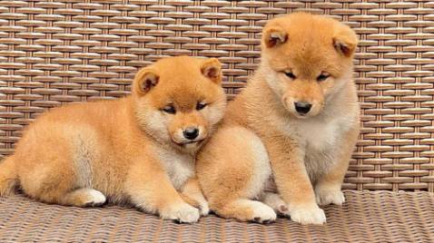 sản phẩm chất lượng tốt