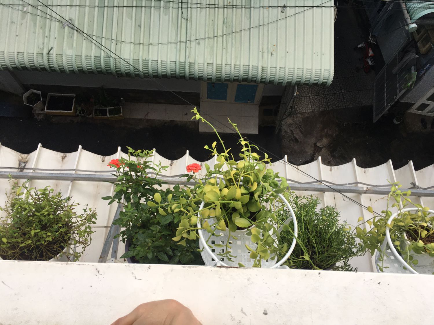 Giỏ đẹp, chắc... nha mn. đẹp mà rẻ nua. Mua đi mn nhé