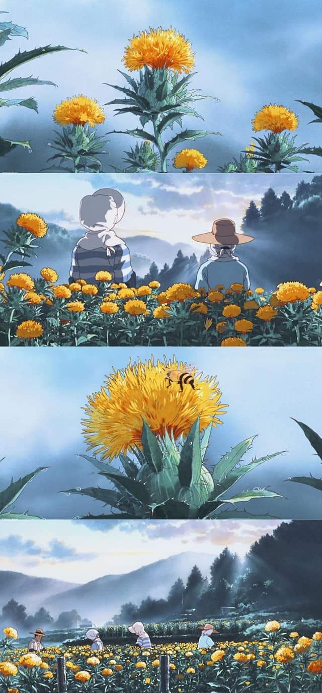 Vở đẹp, các dòng mờ nhưng thích hợp cho bé bắt đầu học tô chữ, sẽ ủng hộ thêm