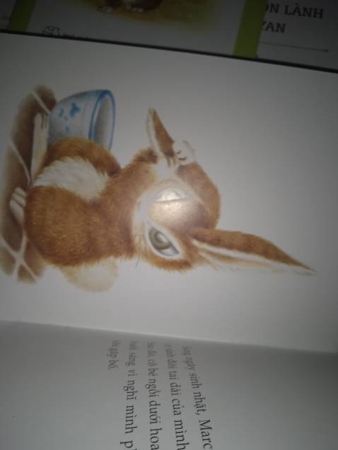 Shop đóng gói cẩn thận đủ loại sách mình đặt.
Cám ơn shop, sẽ ủng hộ shop thêm ạ.