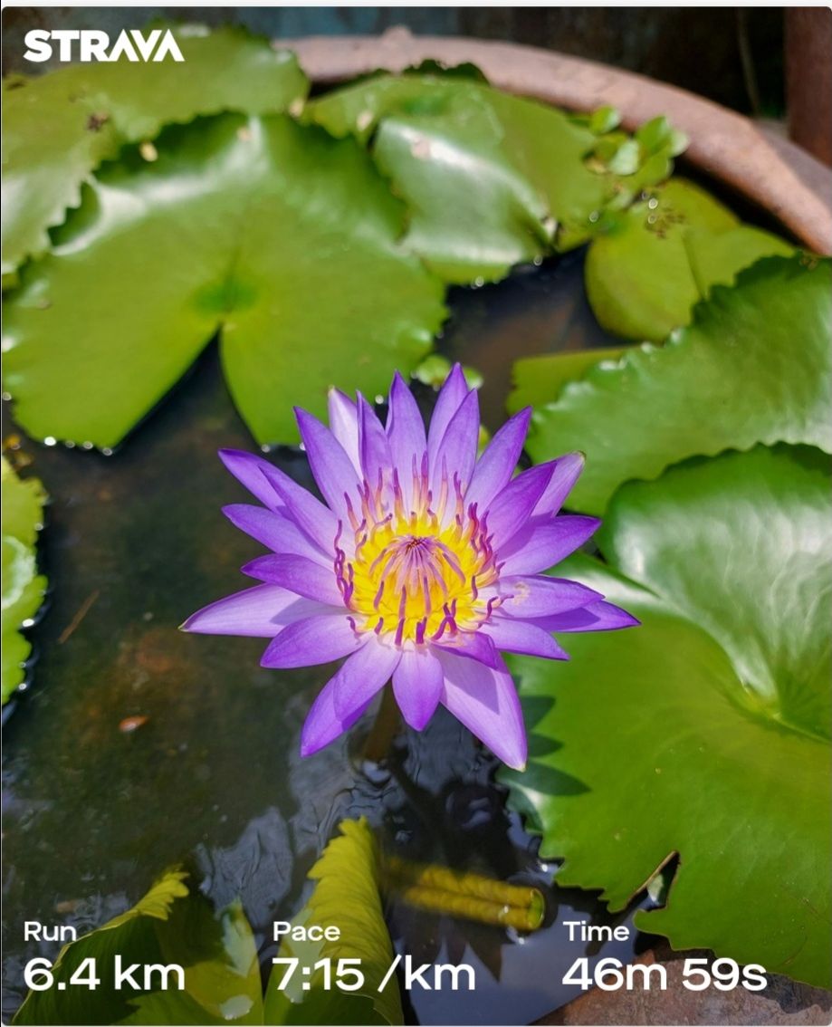 giao hàng hơi chậm chắc do covic nhưng vẫn cho 5 sao