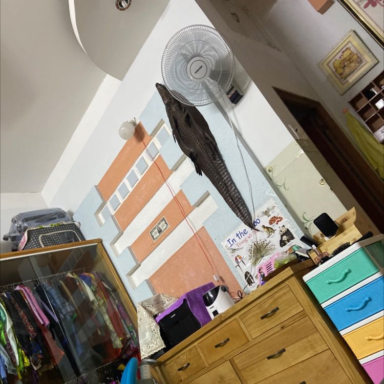 Đẹp chắc ……………………………………………