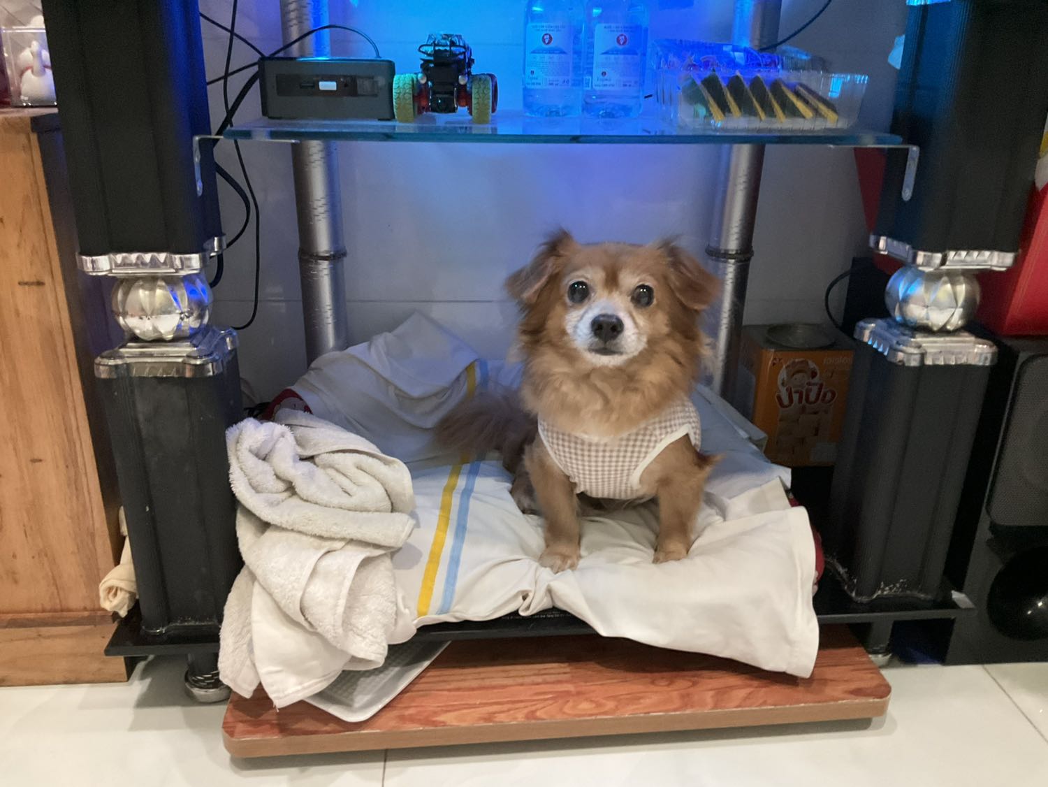 Chết lượng tốt