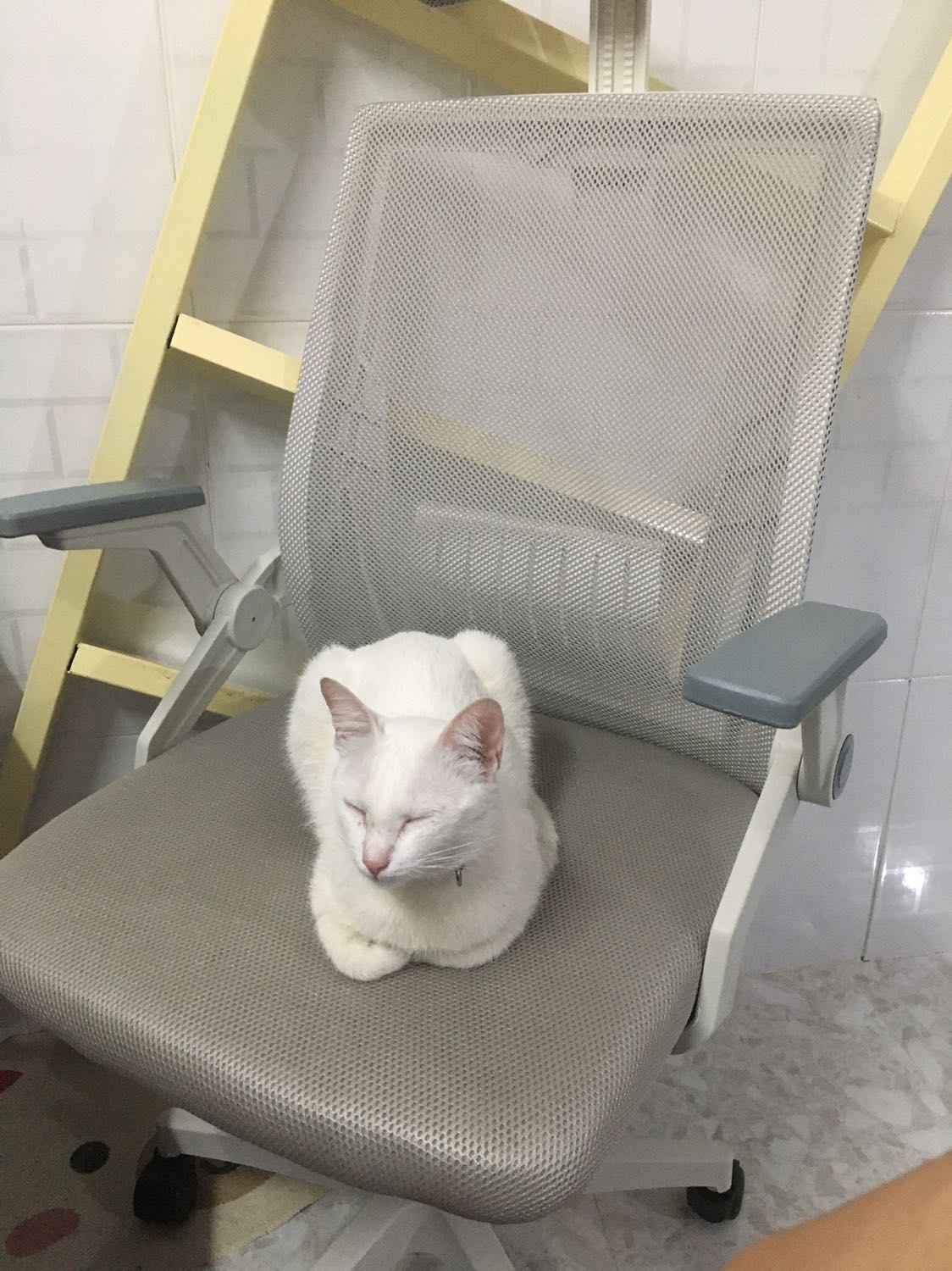 Ghế đẹp, đóng gói tốt. Có đều ko có hướng dẫn lắp ráp nên với người mới thì hơi tốn thời gian tìm hiểu