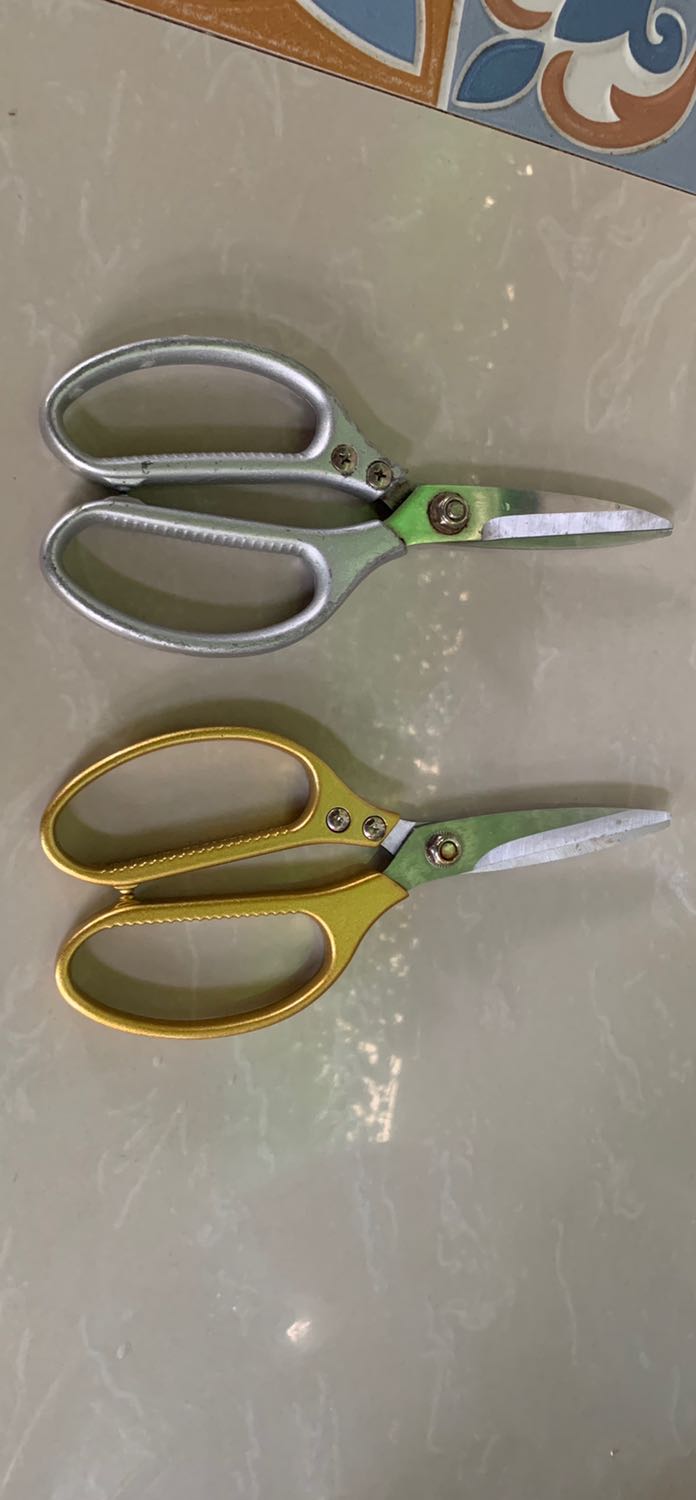 Kéo nhái… chất lượng không tốt kéo thật. Cũng phải thôi. Tiền nào của nấy… lúc nua đã nghi nghi rồi… nhưng thôi. Có những bài học học hoài không thuộc. (Hình kéo màu bạc là kéo thật, kéo màu vàng… nhái…)