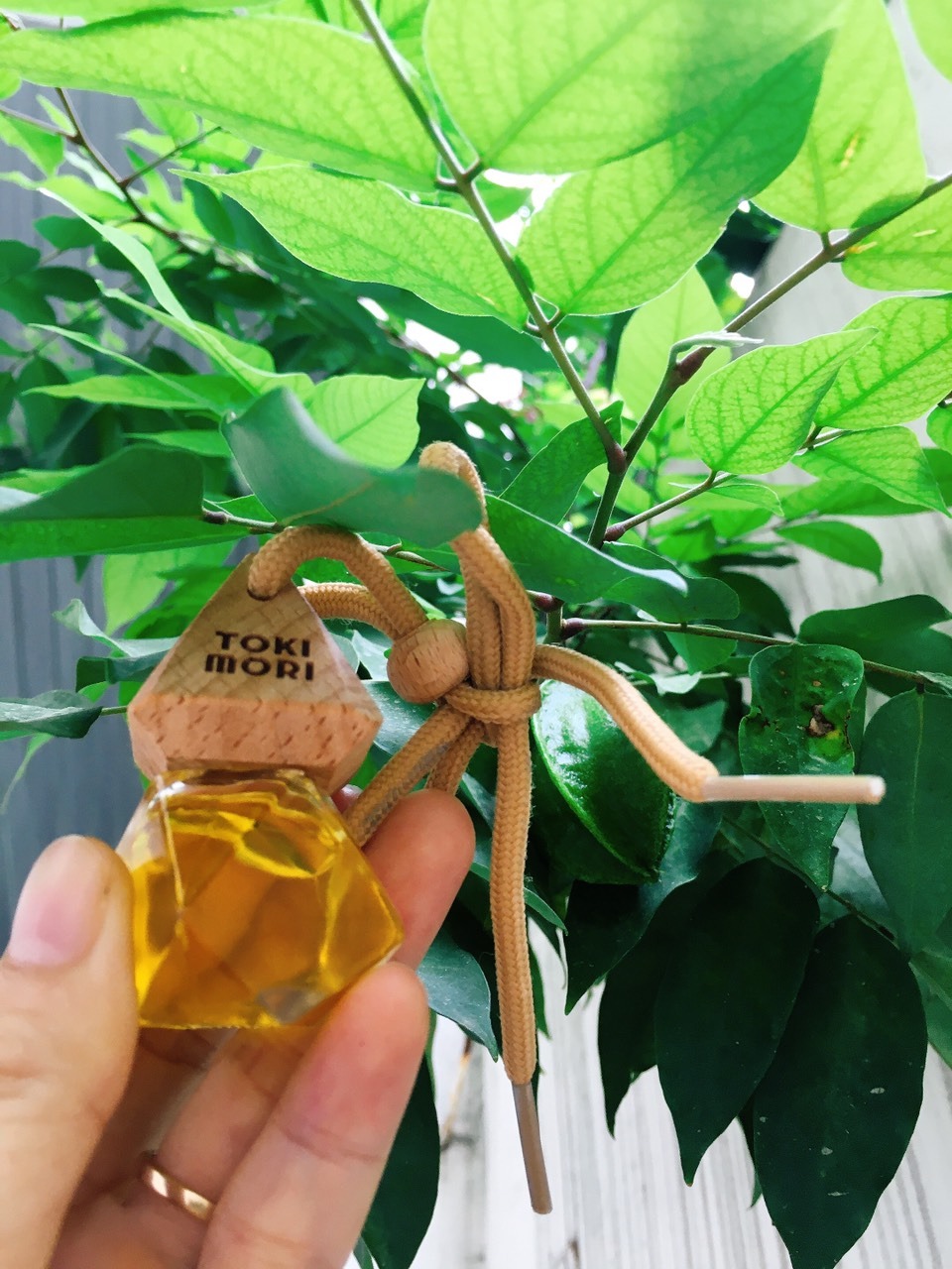 Giá hạt dẻ nên mua liền nhiều lọ, nói thiệt là quá bất ngờ luôn, mùi thơm đậm và dễ chịu lắm . Nước dầu lấp lánh, đẹp cưng gì đâu, thích  quá nên phải đem em  nó đi chụp hình mới  được. Mọi  người nên  mua vài lọ  này để dành treo trong  xe  ô  tô  nhé. 
Đã follow shop để ủng hộ dài dài. Giá hạt dẻ nên mua liền nhiều lọ, nói thiệt là quá bất ngờ luôn, mùi thơm đậm và dễ chịu lắm . Nước dầu lấp lánh, đẹp cưng gì đâu, thích  quá nên phải đem em  nó đi chụp hình mới  được. Mọi  người nên  mua vài lọ  này để dành treo trong  xe  ô  tô  nhé. 
Đã follow shop để ủng hộ dài dài.