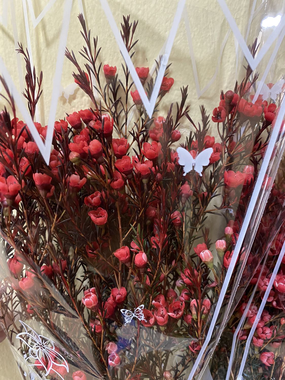 giao hàng hơi chậm xíu