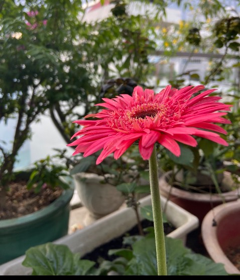 Mẫu mã đẹp. Hàng rõ nguồn gốc. Giá tốt.
Tiki đóng gói cẩn thận, đẹp, giao hàng nhanh. Ok