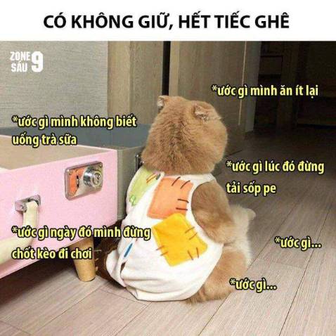 Mình mua lần 1 nhưng lại nhầm địa chỉ của a trai mình nên mua lại lần 2 sẵn tặng a mình luôn a mình rất là thích 
Shop bán hàng uy tín, giao nhanh