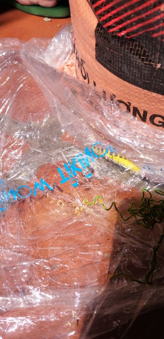 Đã mua nhiều mặt hàng ở Tiki và rất an tâm về chất lượng. Tuy nhiên, lần đầu mua đất lại được khuyến mãi một phen "hết hồn" cho cả nhà vì một nhóm ấu trùng (có thể là mối) bò lúc nhúc trong bao đất, đặc biệt là trong lớp nilon bọc bao T.T... Đã mua nhiều mặt hàng ở Tiki và rất an tâm về chất lượng. Tuy nhiên, lần đầu mua đất lại được khuyến mãi một phen "hết hồn" cho cả nhà vì một nhóm ấu trùng (có thể là mối) bò lúc nhúc trong bao đất, đặc biệt là trong lớp nilon bọc bao T.T...