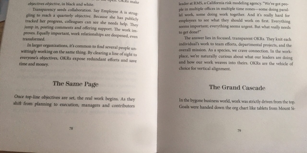 Đây là quan điểm cá nhân của mình. Có nhiều phong cách dịch khác nhau nhưng hi vọng dịch giả sử dụng cách dịch sát nghĩa và tôn trọng nguyên tác của cuốn sách được gọi là kinh thánh của "OKRs" này! Sách bản việt nhiều đoạn được dịch theo ý của dịch giả, thậm chí là những đề mục in đậm.
Vd: The Same *** dịch là Gà cùng một mẹ.
The Grand Cascade dịch là Từ trên xuống hay từ dưới lên?
Thật sự nên mua sách gốc thì hơn!